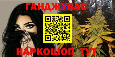 индика Гусиноозёрск