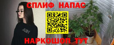 спайс Гусь-Хрустальный