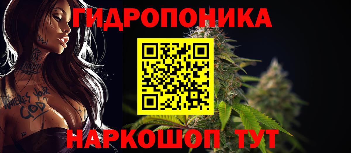 Марихуана план  Бошки Шишки THC 21%  Вход с VPN  Нефтекумск  Бошки Шишки семена  Марихуана OG Kush 